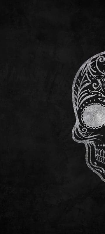 Elegant Silver Skull Art on Black Textured Background