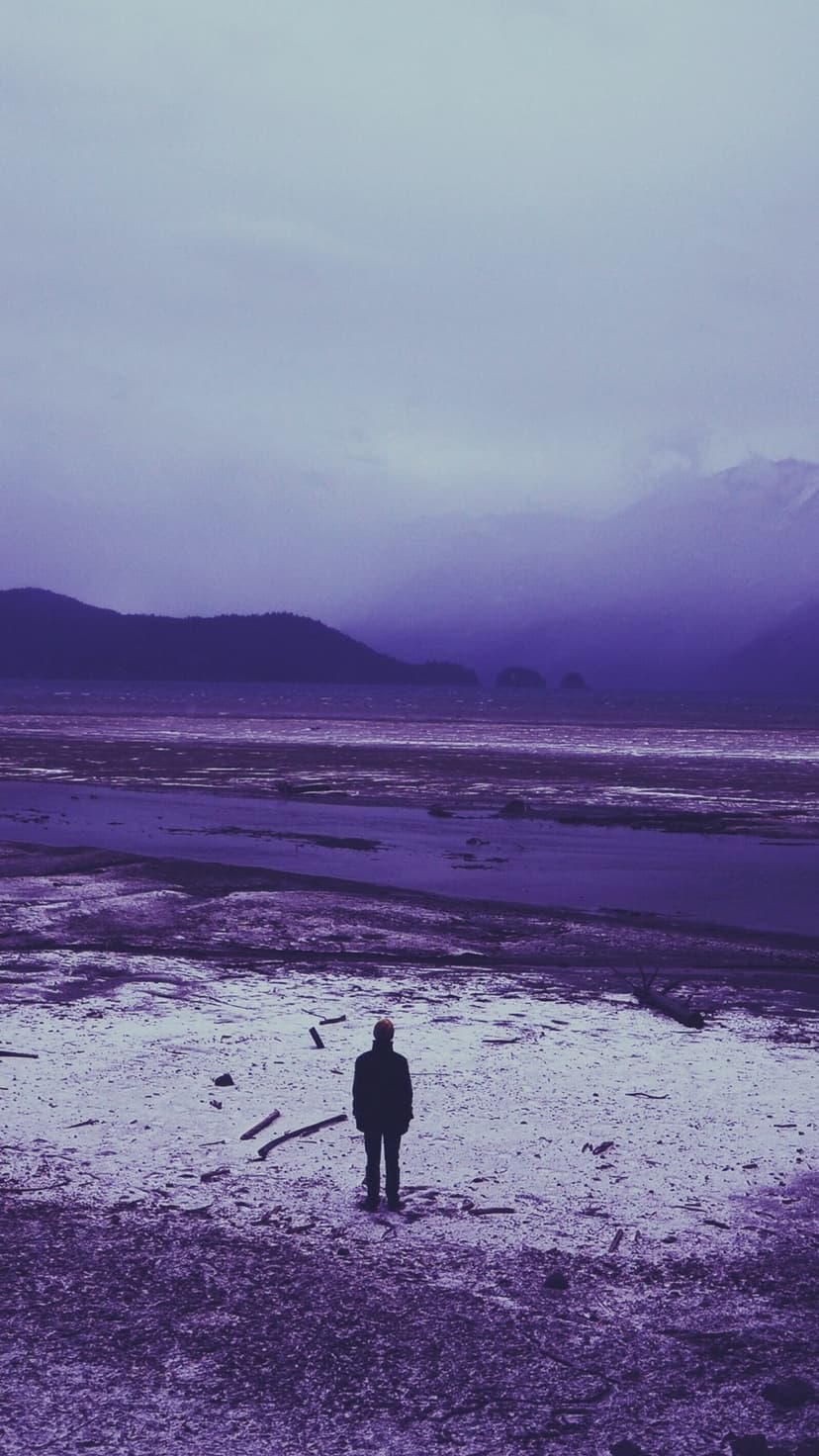 A small person stands on a wide purple beach facing distant mountains under a cloudy, overcast sky.