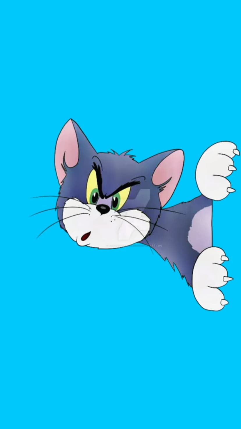 Tom cat with green eyes peeks around a corner with a sneaky expression against a bright blue background.