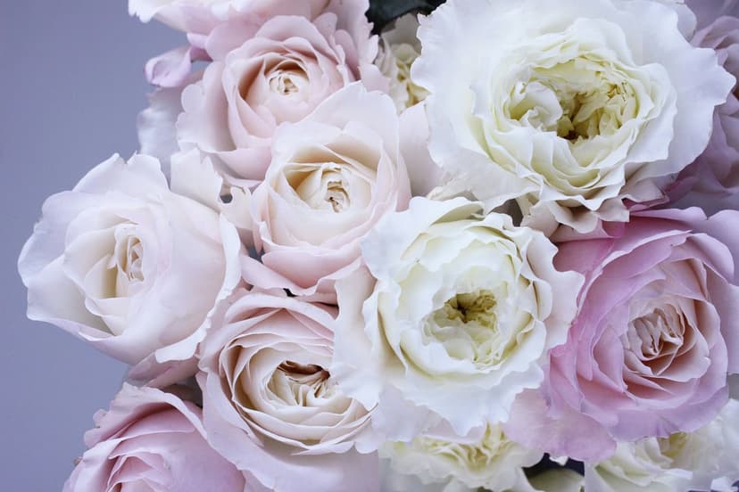 Soft pink and cream roses in a dense floral bouquet showing detailed petal textures and romantic lighting.