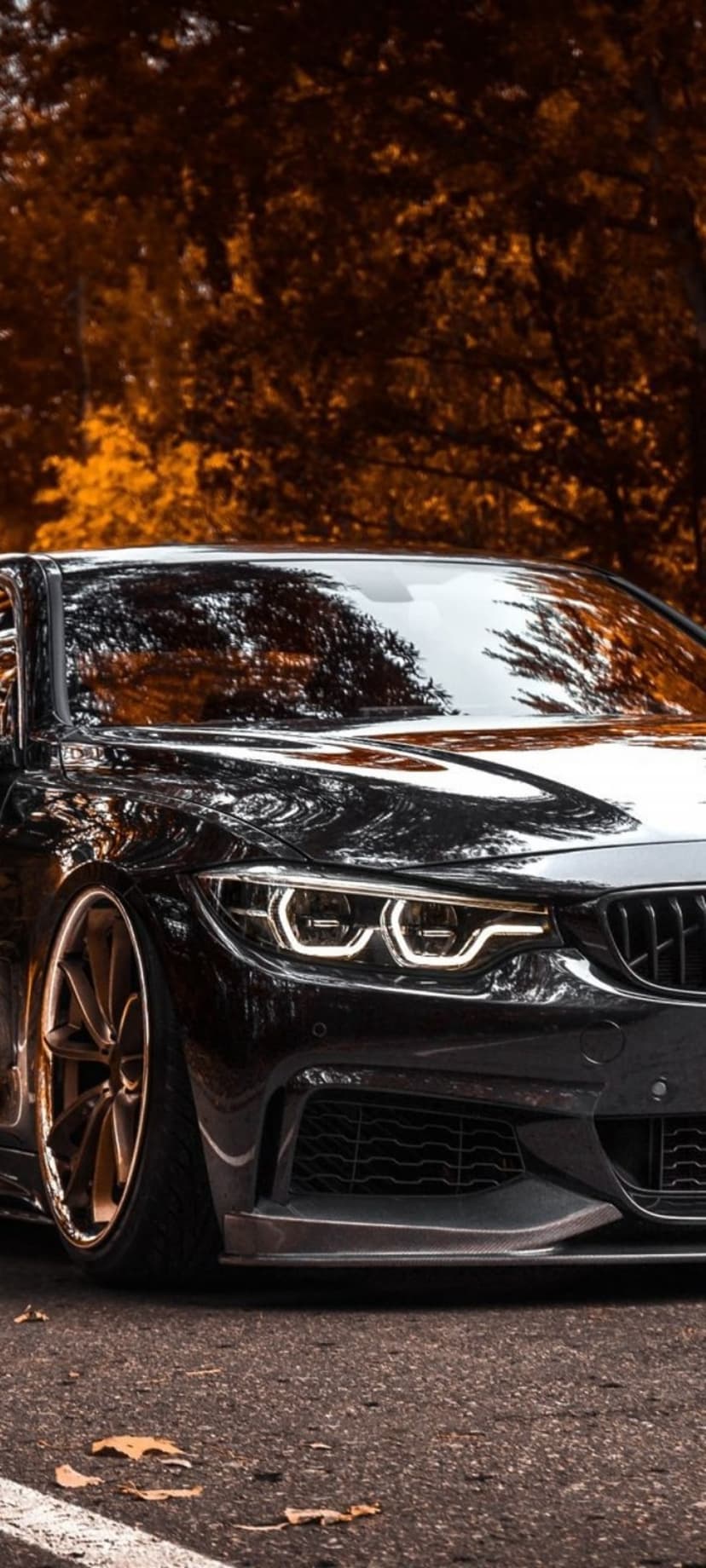 Black BMW M4 parked on an asphalt road surrounded by fiery orange autumn trees and fallen leaves in a forest.