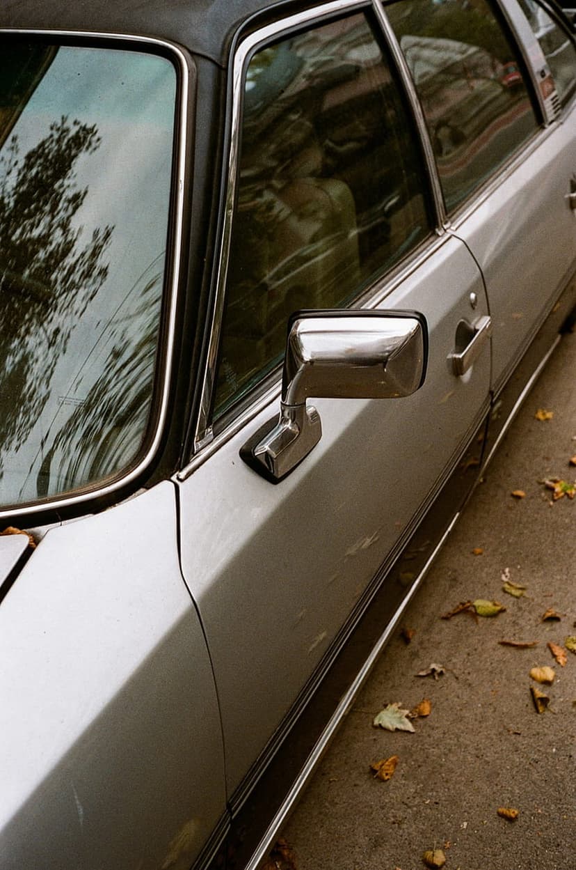 Vintage silver car door and chrome side mirror reflecting buildings above scattered autumn leaves on the ground.