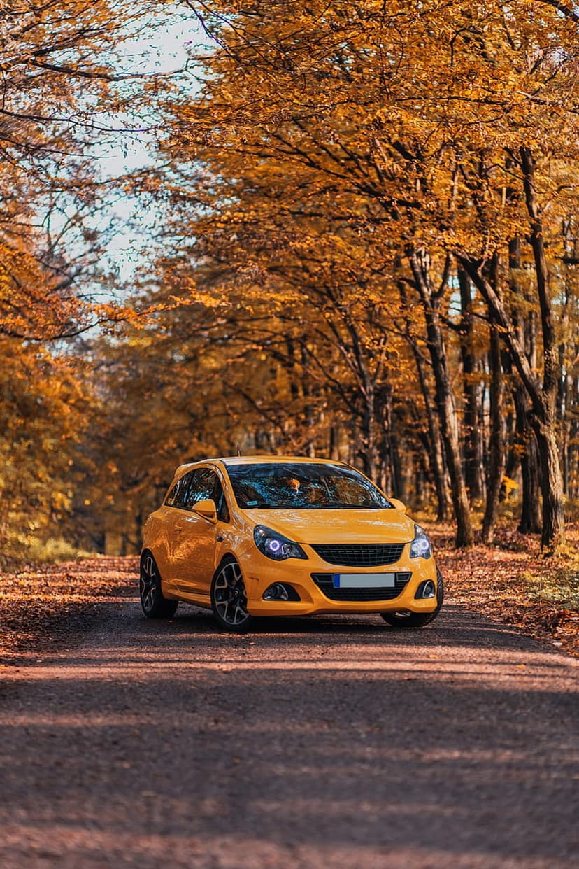 Yellow car driving on a rural road surrounded by thick orange and yellow autumn foliage under soft sunlight.