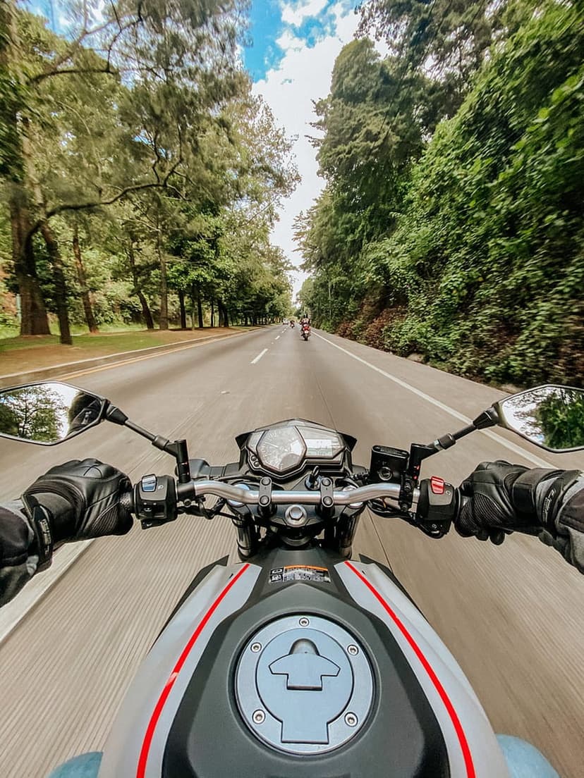 Motorcycle handlebars and fuel tank lead toward a paved road lined with dense green trees under a blue sky.