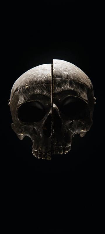 Split Skull Sculpture on Black Background