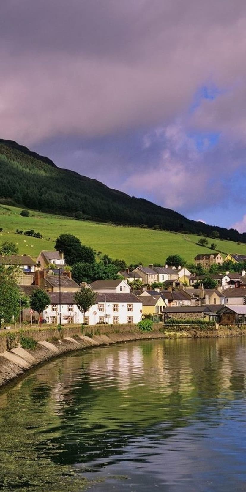Carlingford village houses sit beside a still lake reflecting massive green mountains under a soft purple sky.
