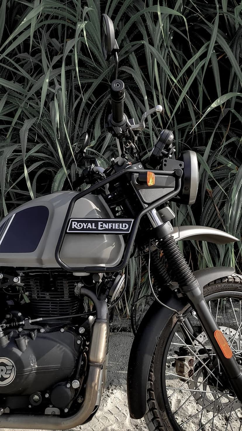 Royal Enfield motorcycle featuring a gray tank and round headlight positioned against dense green foliage.