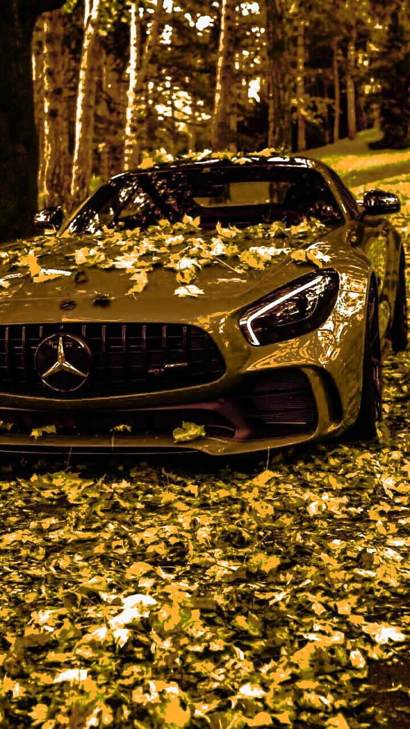 Dark luxury sedan partially buried in yellow autumn leaves within a dense forest under dappled sunlight.