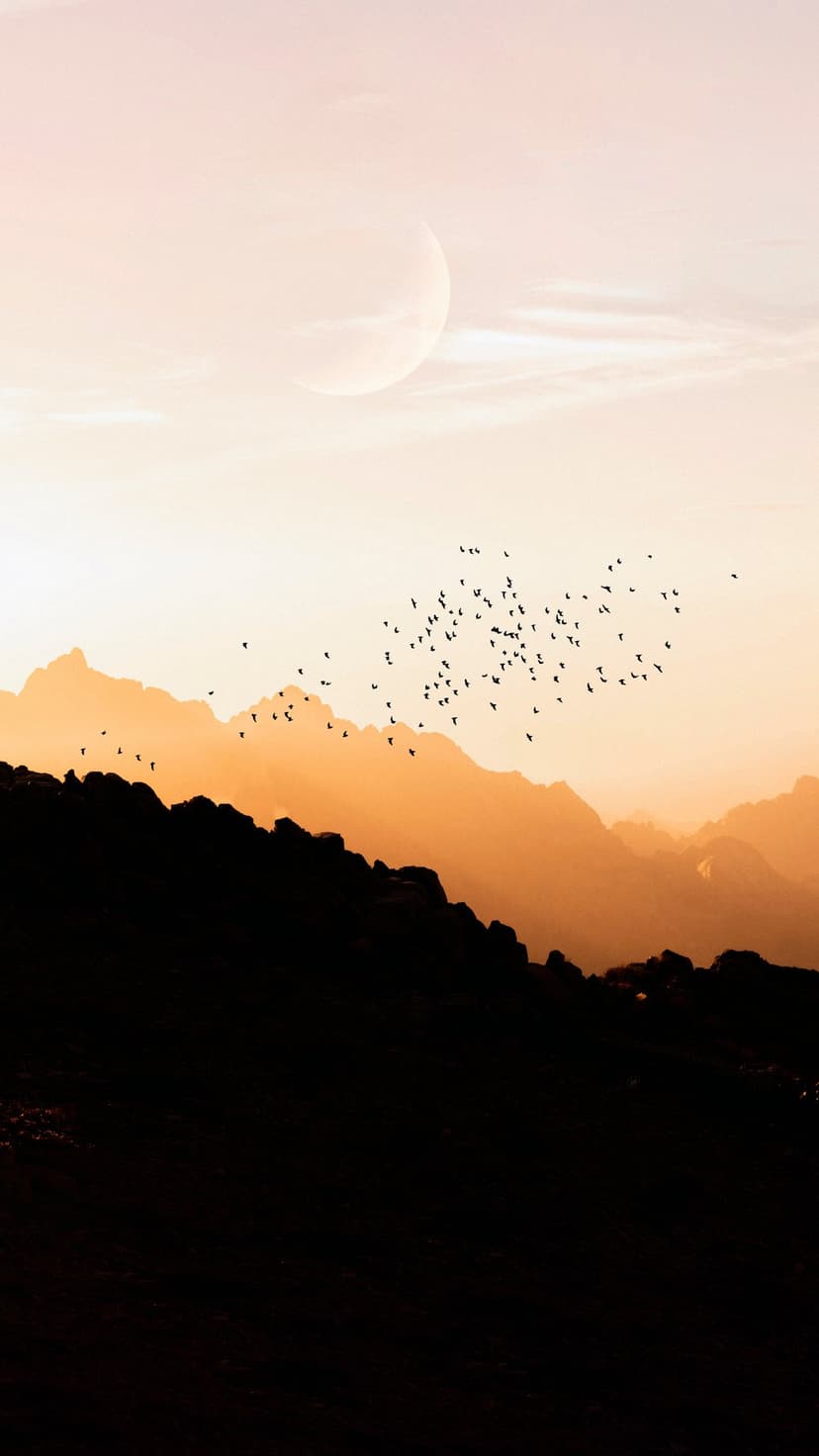 Jagged mountain silhouettes sit under a crescent moon and orange sky with a flock of birds in flight.