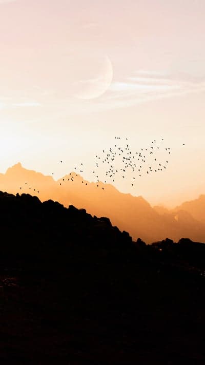 Crescent Moon and Migrating Birds Over Sunset Mountain Peaks