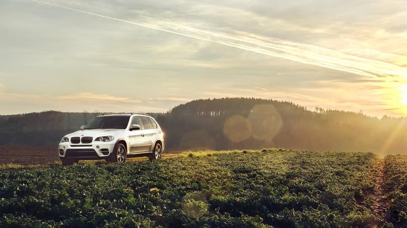 White BMW X5 SUV parked in a lush green crop field at sunset with golden light, lens flare, and forest background.