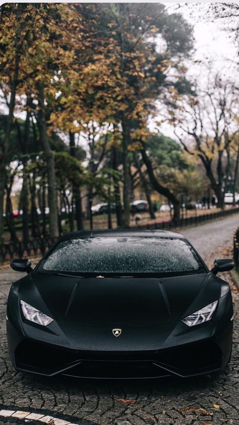 Matte black Lamborghini parked on a wet cobblestone road during autumn with misty trees in the background.