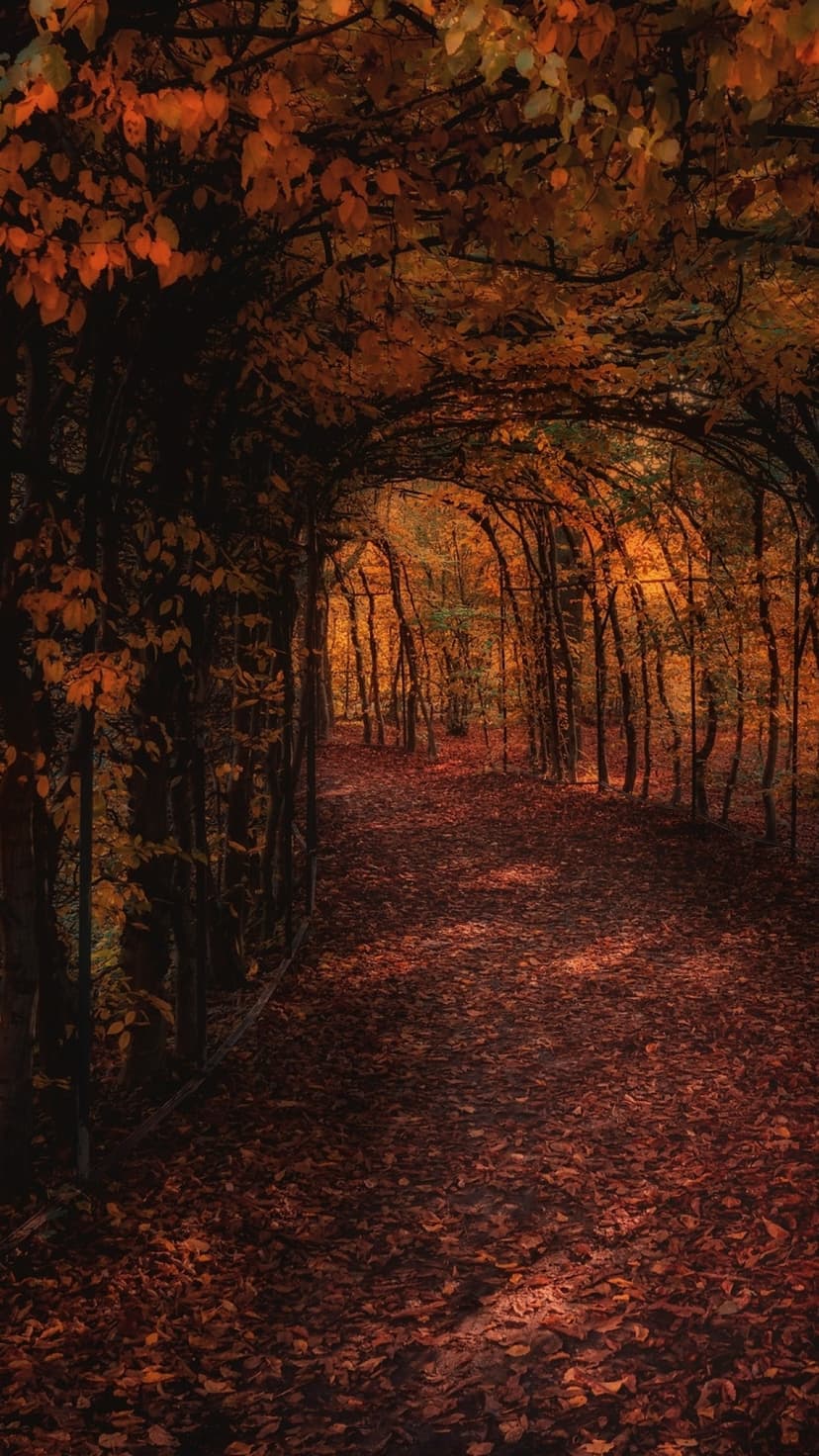 Golden forest path carpeted in fallen autumn leaves beneath a natural archway of vibrant orange tree branches.