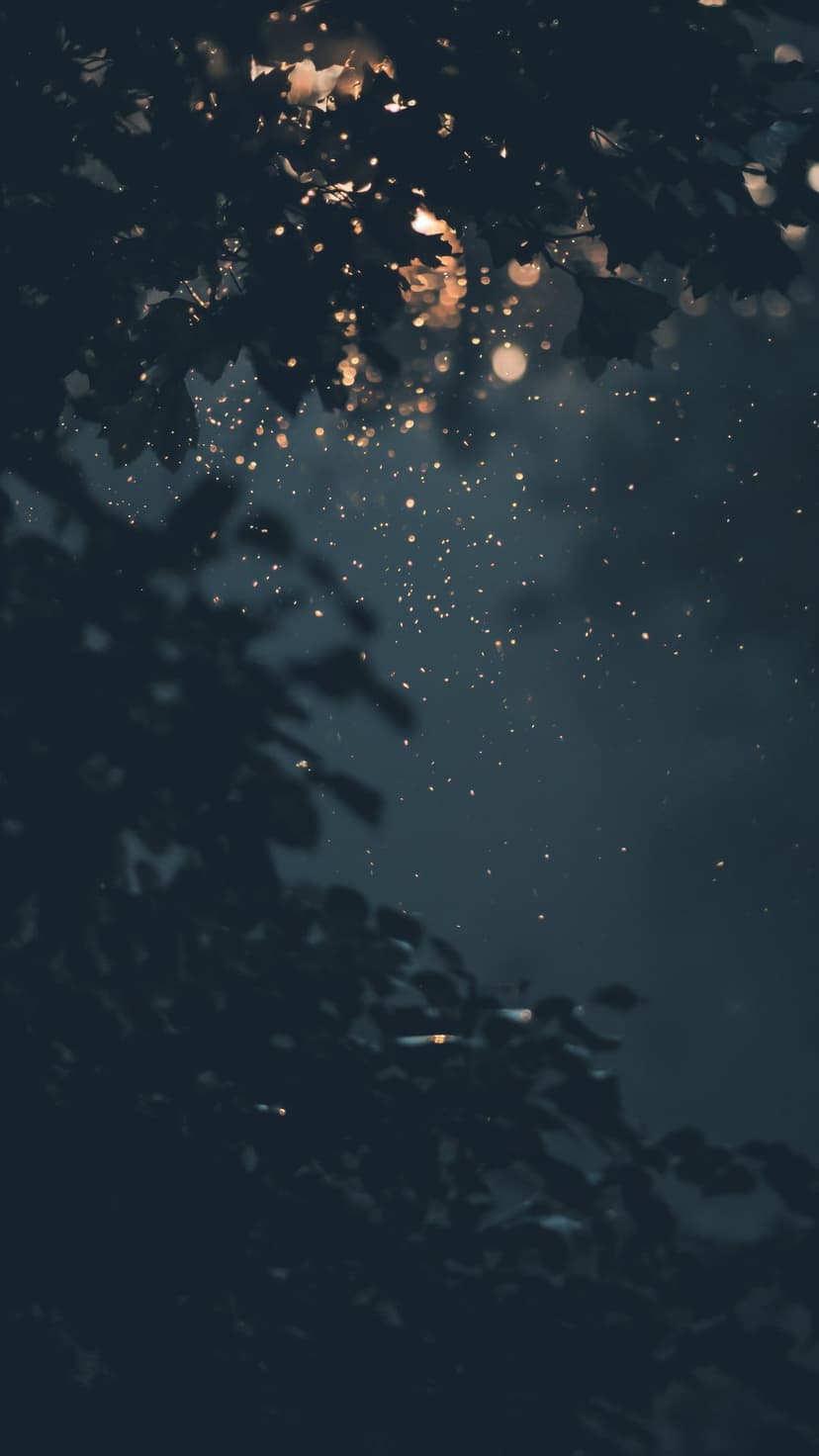 Sparkling gold lights flicker between dark leaf silhouettes against a deep blue midnight sky background.