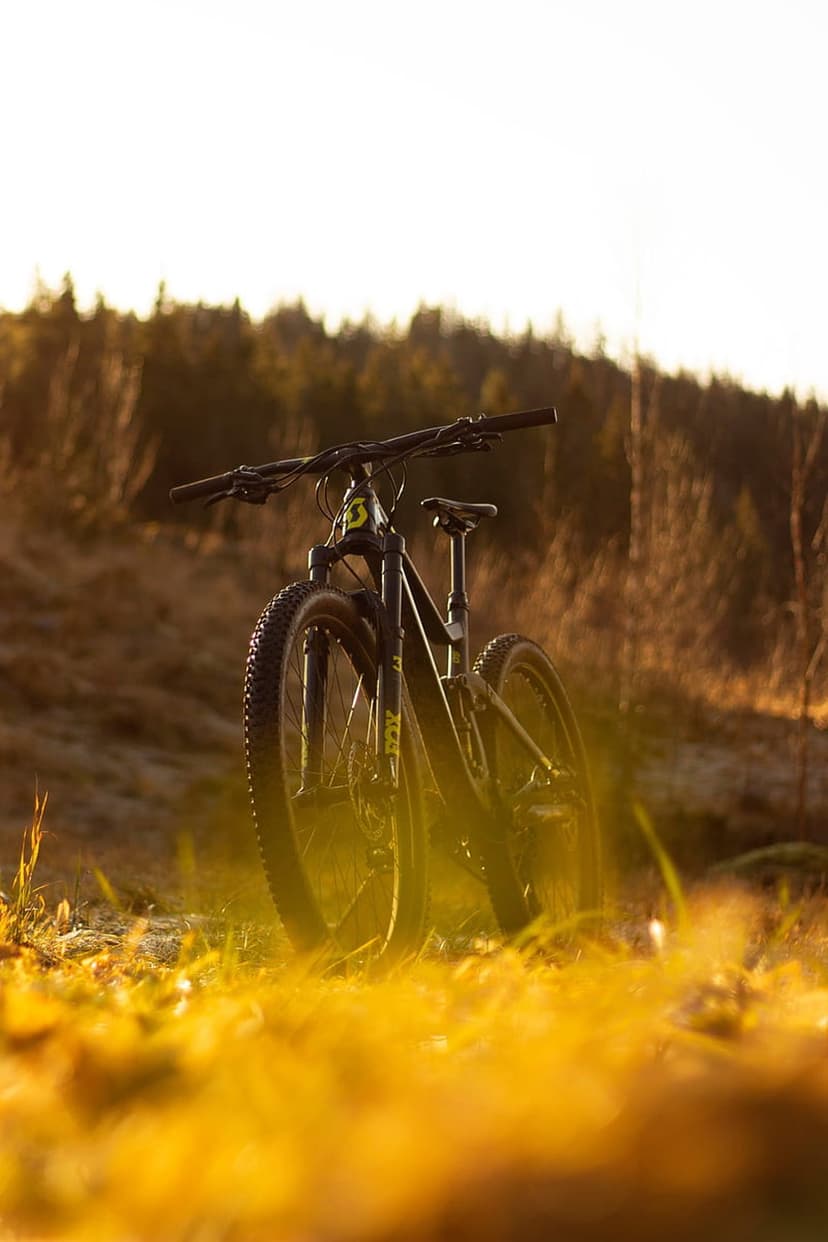 Black mountain bike parked on a grassy hill under warm golden sunlight with a dense forest background.