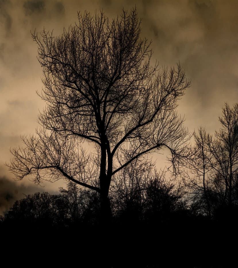 Bare tree silhouette with intricate branches reaching across a dark, textured sepia sky in a vertical view.