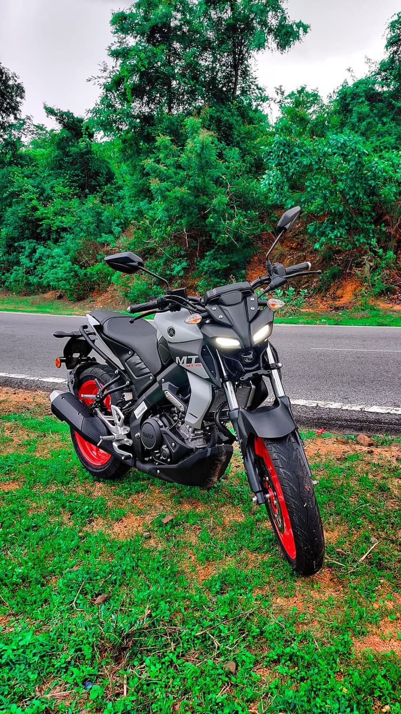 Yamaha MT-15 motorcycle with red wheels parked on a grassy roadside surrounded by dense green forest trees.