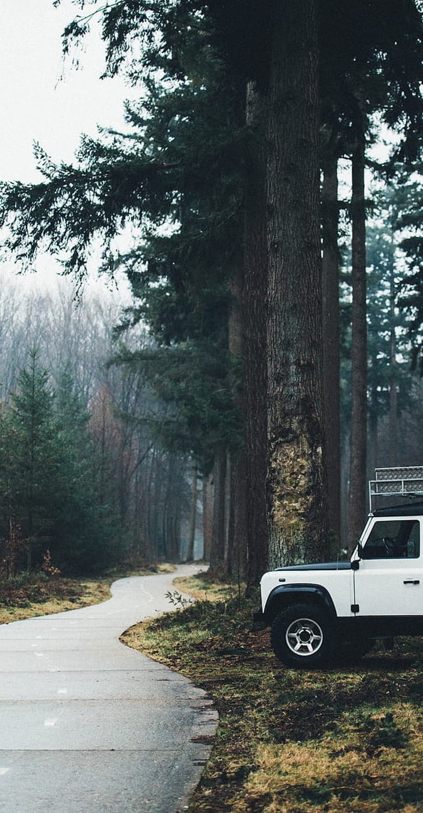White Land Rover Defender parked on a misty asphalt forest road surrounded by tall pine trees and thick fog.