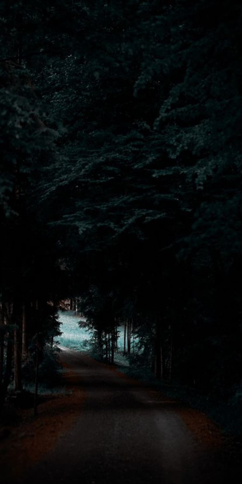 Winding dirt path leads through a dark, foggy forest with towering trees casting long shadows on the ground.