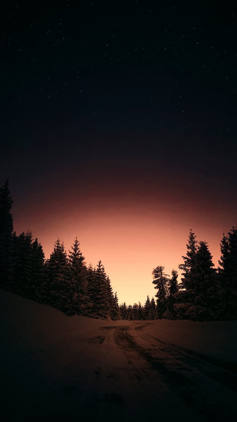 Snowy forest road winding between dark pine trees under a starry orange and blue twilight sky in winter.