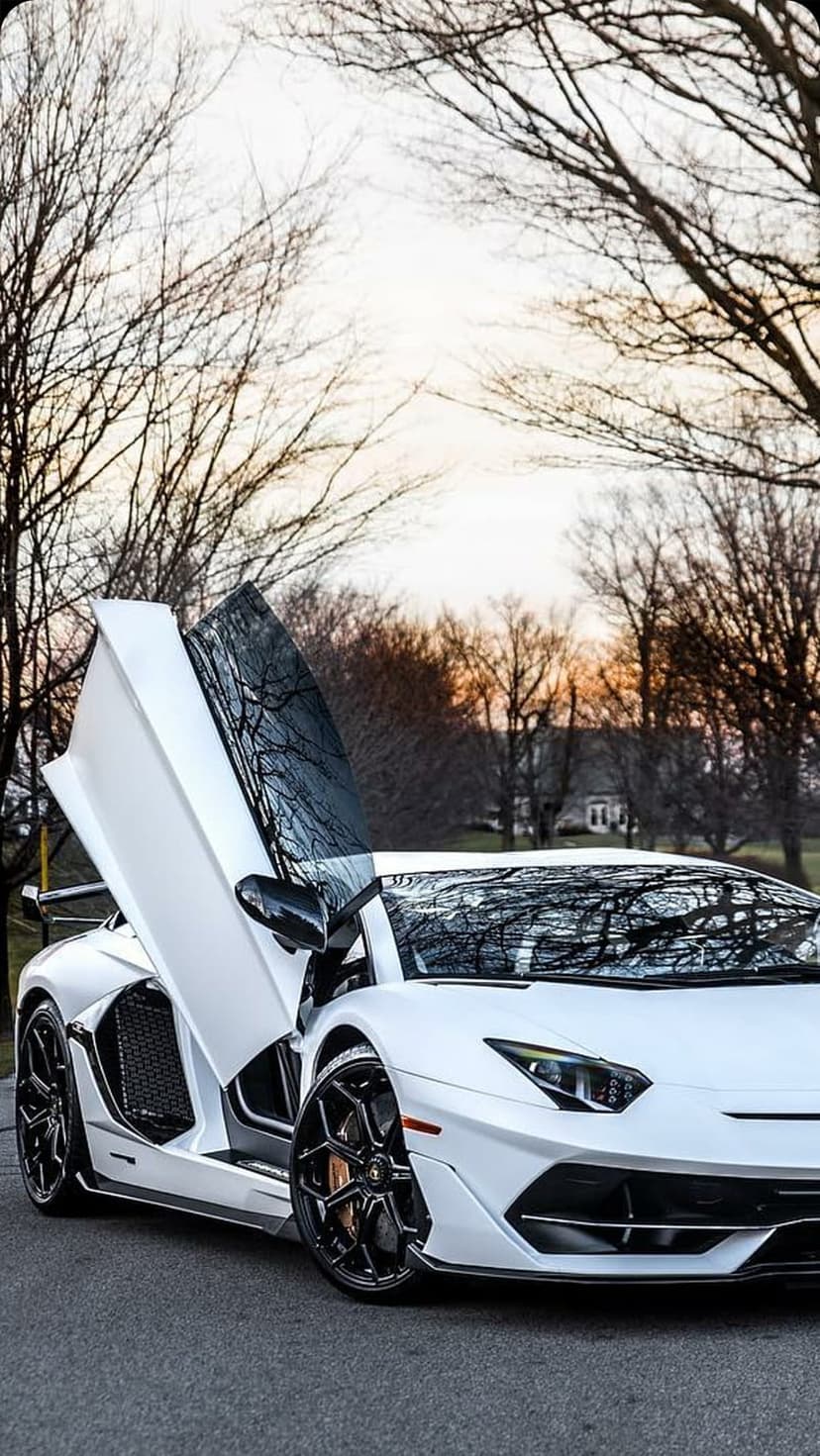 White Lamborghini Aventador with raised scissor doors parked beneath bare winter trees at twilight.