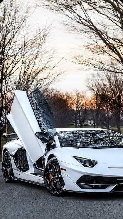 Sleek White Aventador Under Bare Trees Phone Wallpaper