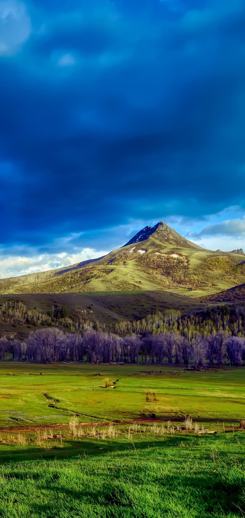 Snow-capped mountain peak rises above vibrant green hills and bare trees under a dramatic, cloudy blue sky.