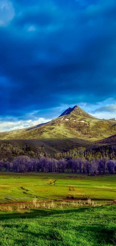 Mountain Grandeur Above Verdant Pastures
