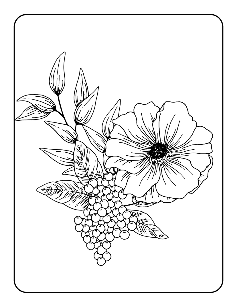 Botanical flower line drawing featuring detailed petals and small berry clusters for a coloring page activity.
