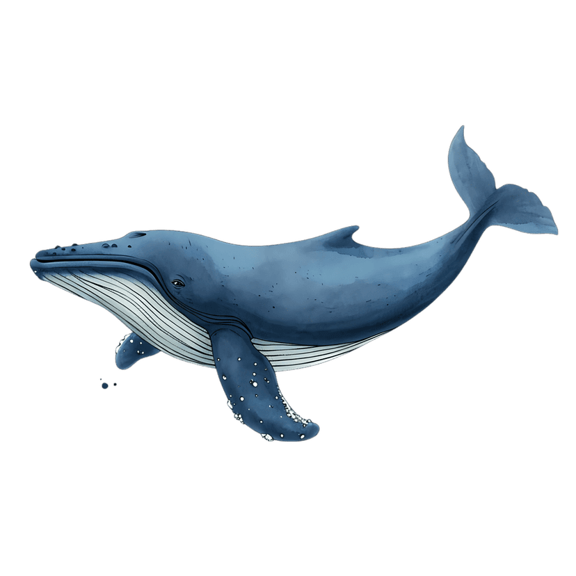 Blue whale watercolor illustration showing a side profile with white speckled markings on a dark background.