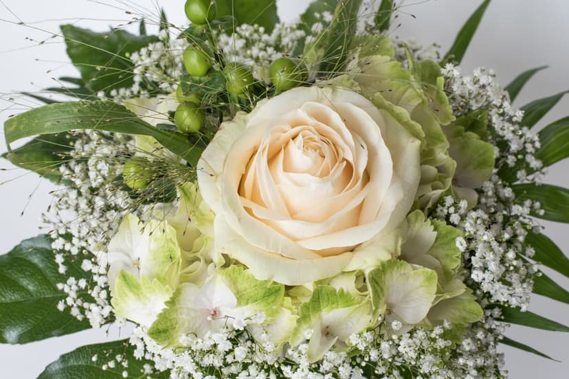 Cream rose surrounded by white baby's breath and green foliage in a vertical floral phone background arrangement.
