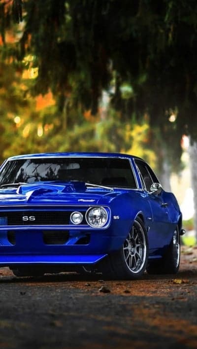 Stunning Blue 1960s Camaro SS parked in autumn forest