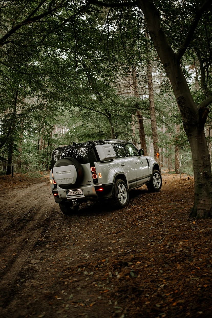 White Land Rover Defender with a spare tire drives along a dirt track through a sunlit, autumnal forest trail.