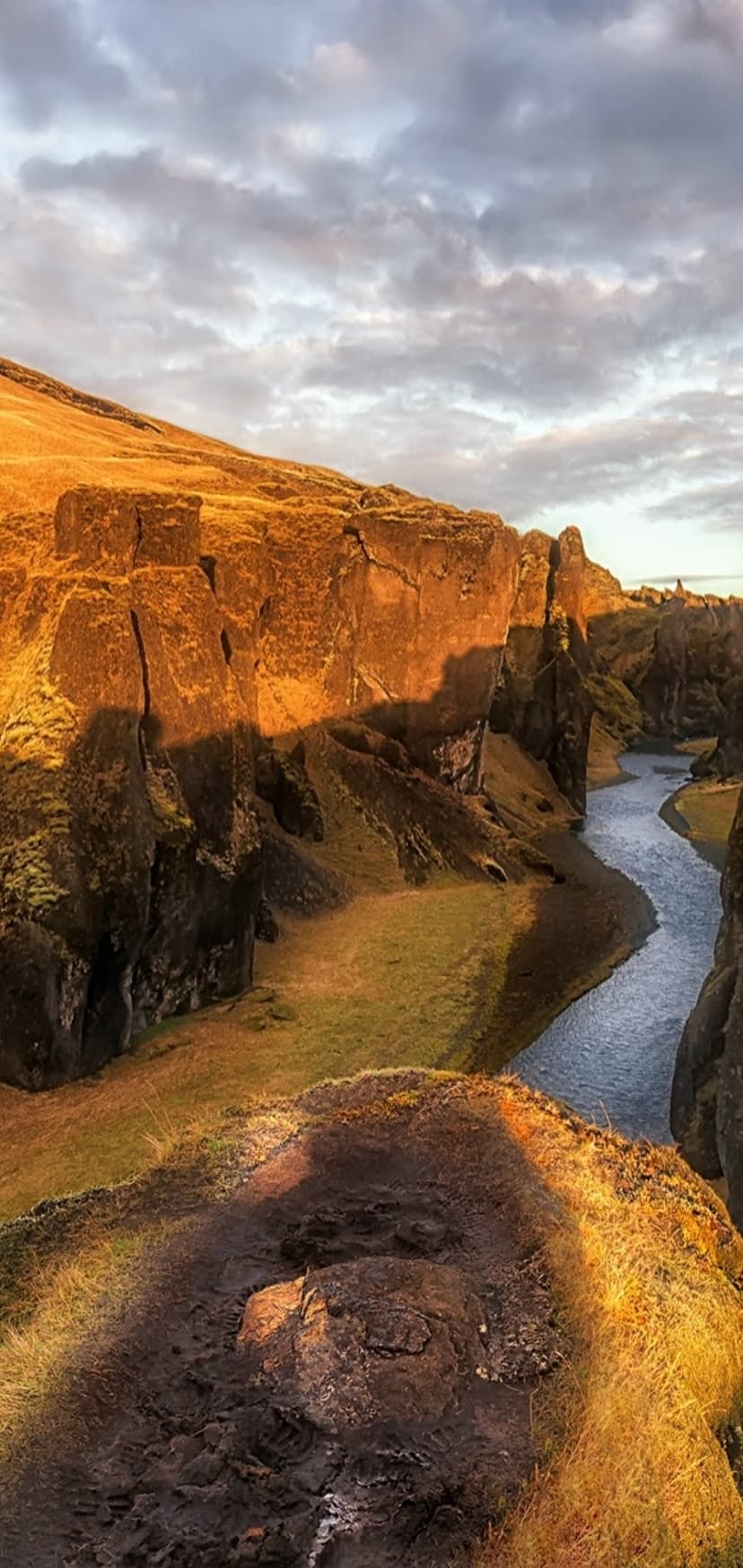 Winding river flows through a steep golden canyon with green moss on the rocks under a soft cloudy sky.
