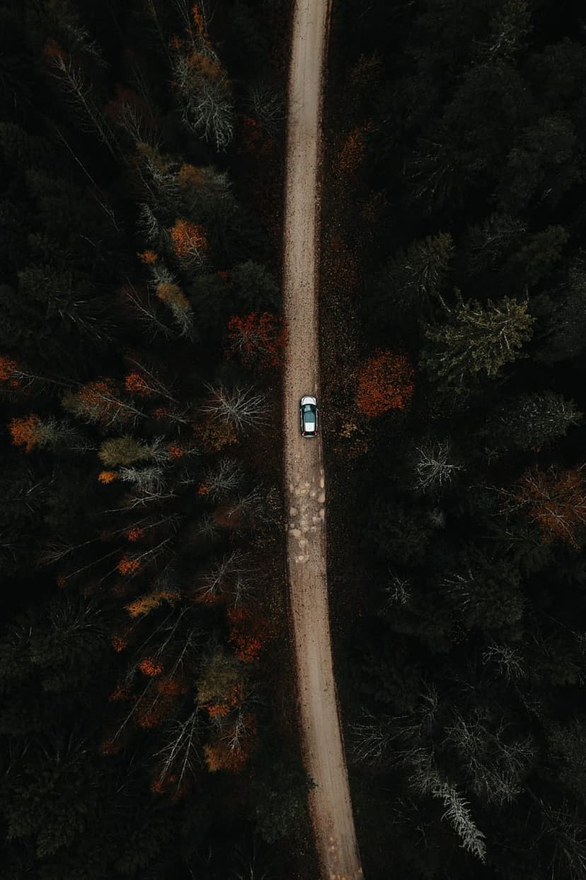 Small car navigates a winding gravel road through a dense forest of orange and dark green trees from a top-down view.