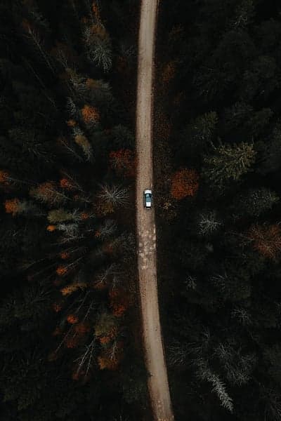 Aerial Autumn Forest Road Car Journey Phone Wallpaper