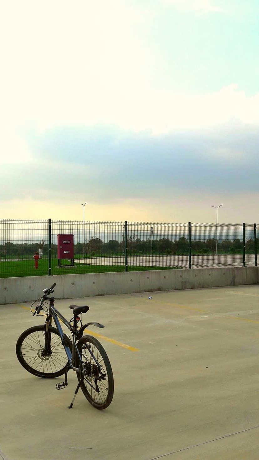 Black mountain bike parked on concrete near a metal fence with trees and a red fire hydrant under grey clouds.