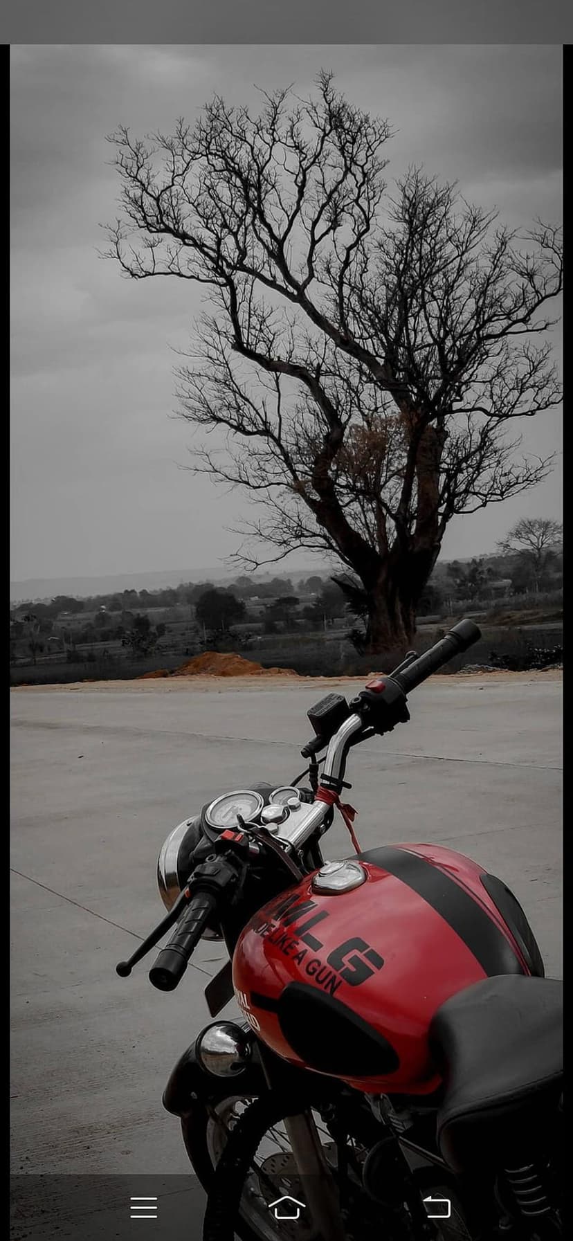 Red motorcycle with black stripes parked on pavement next to a large bare tree under a heavy gray sky.