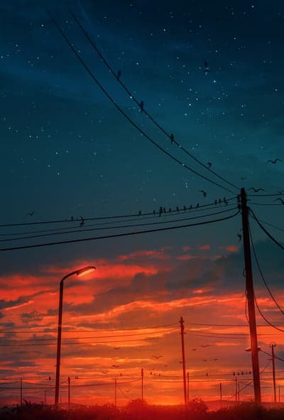Birds Silhouette Against Sunset and Stars Phone Wallpaper