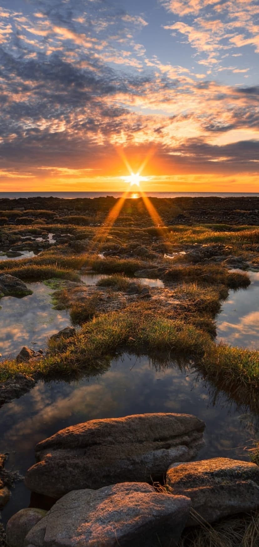 Mossy tidal pools reflect a brilliant orange starburst sunrise over a jagged rocky coastline at low tide.