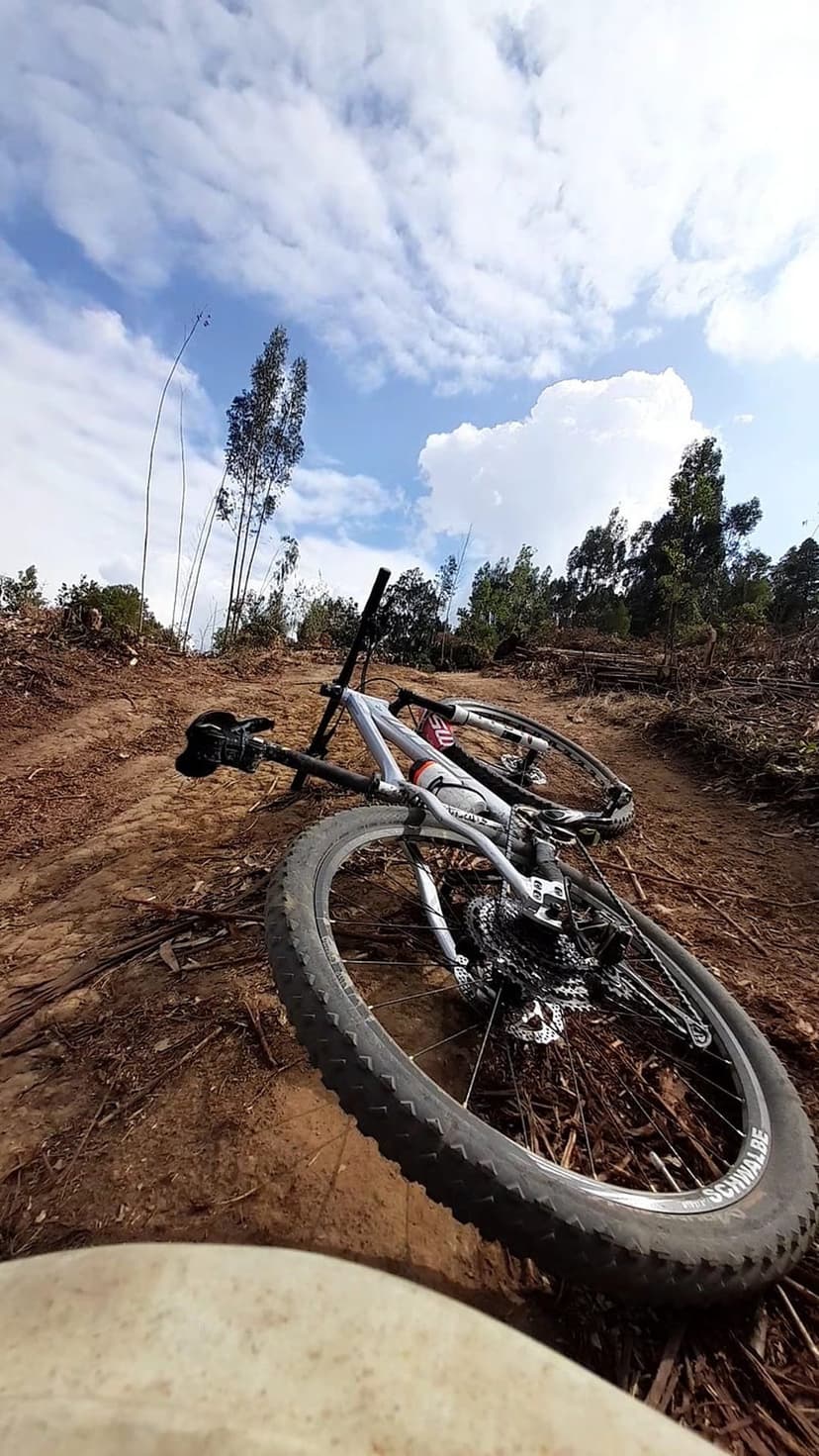 Silver mountain bike lying on a dusty dirt track with tall trees and a cloudy blue sky in the background.