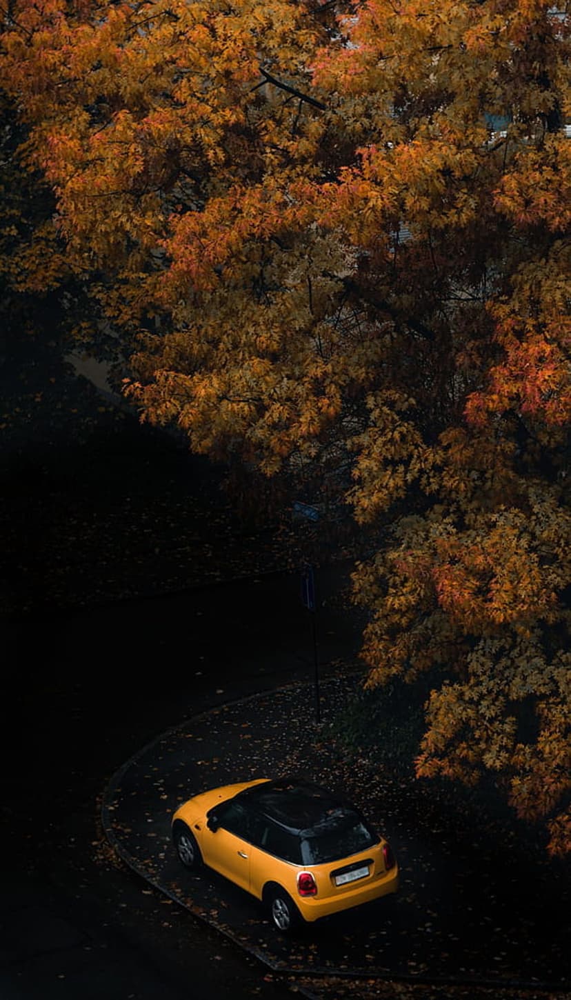 Yellow Mini Cooper with a black roof parked on asphalt covered in fallen orange leaves under autumn trees.
