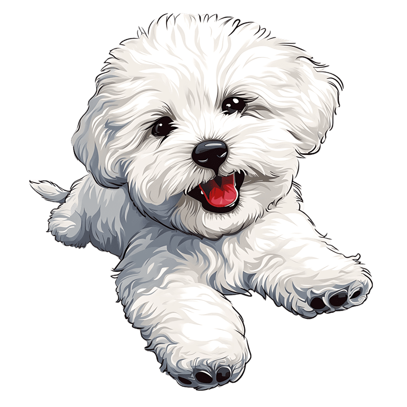 Bichon Frise puppy illustration with white curly fur, dark eyes, and pink tongue on transparent background.