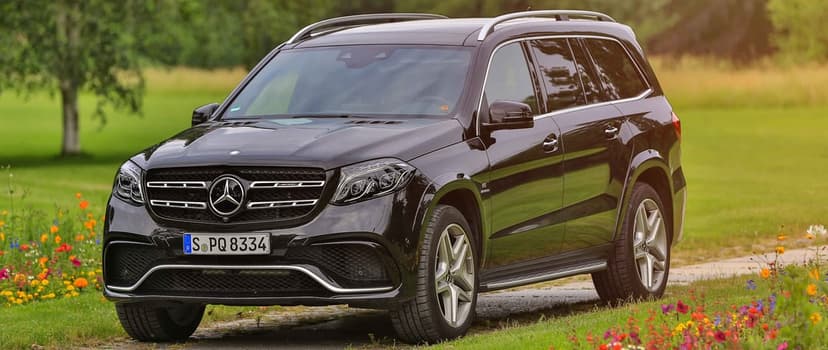 Black Mercedes-AMG GLS 63 SUV parked on a path in a green field filled with colorful spring wildflowers.