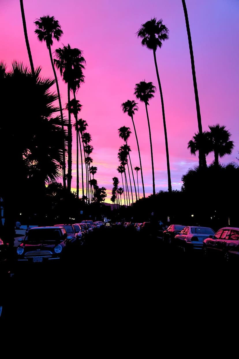 Palm tree silhouettes line a street against a vibrant pink and purple twilight sky with parked cars.