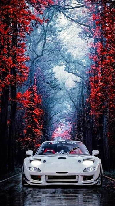 White RX-7 on a mystical forest road