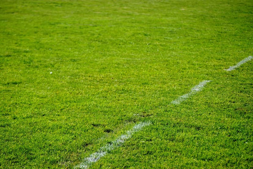 Lush green athletic turf with a thick white chalk boundary line viewed from a low-angle vertical perspective.