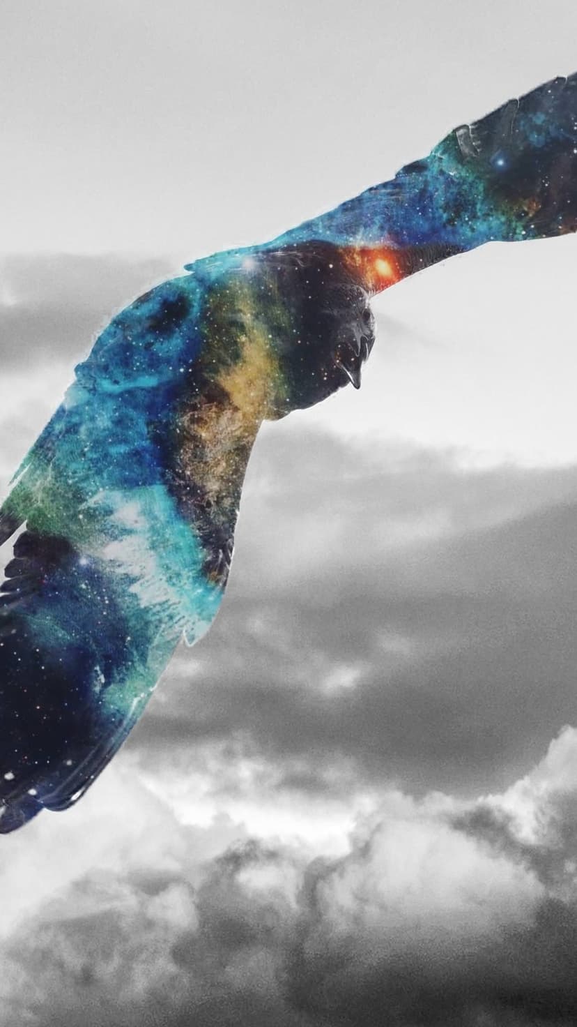 Winged bird soaring with a star-filled nebula inside its body against a background of overcast, cloudy skies.
