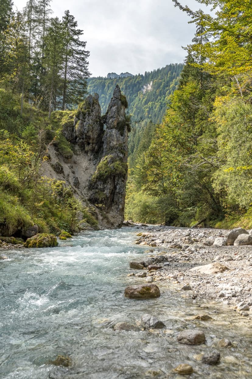 Clear river water rushes over stones between steep rocky cliffs and dense green pine trees under soft sunlight.
