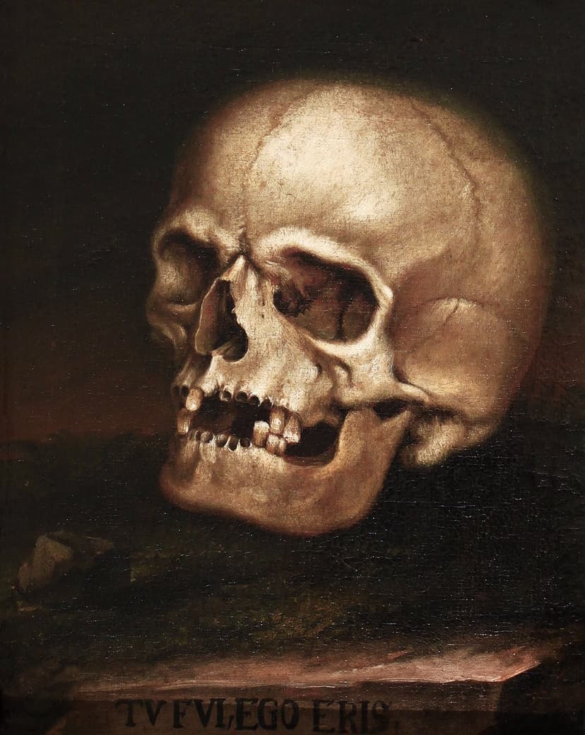Human skull positioned over a Latin inscription with high-contrast shadows against a midnight black backdrop.